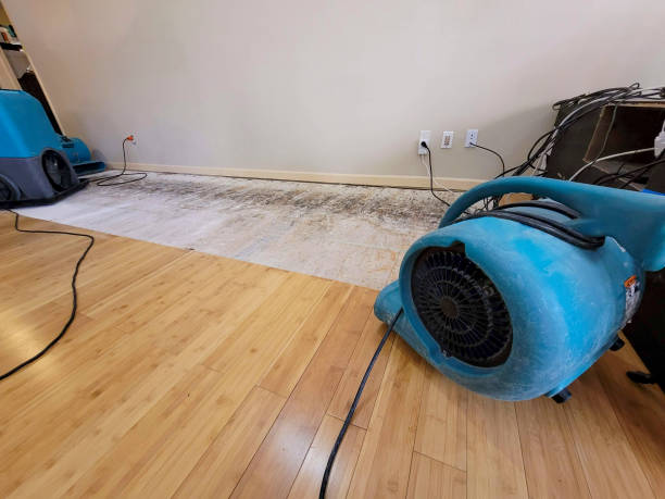 Professional Water Damage Repair technician working in Ada, MN